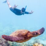 South Maui: Molokini Snorkeling Adventure - The Sum Up: Who Should Consider This Tour?