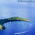 South Maui: Molokini & Turtle Town Snorkeling Tour with Meal - The Full Breakdown: What to Expect on Your Maui Snorkeling Adventure