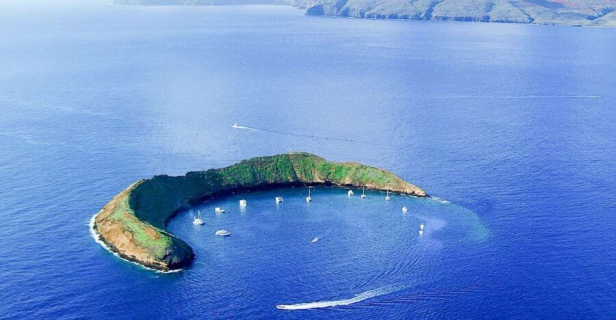 South Maui: Molokini & Turtle Town Snorkeling Tour with Meal - The Full Breakdown: What to Expect on Your Maui Snorkeling Adventure