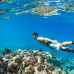 South Maui: Premium Turtle Town Kayak and Snorkel Tour - An In-Depth Look at the South Maui Premium Turtle Town Tour