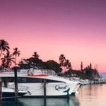 South Maui: Sunset Cruise with 4-Course Dinner and Drinks - A Detailed Look at the Experience