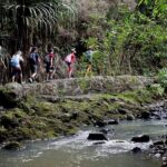 South Maui: Waterfall Tour w/ Kayak, Snorkel, and Hike - FAQ