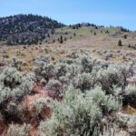 South Okanagan Desert Tour - Who Will Love This Tour?