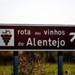 South Portugal Wine Route Private Full Day Tour from Lisbon - Authentic Experiences & Notable Details