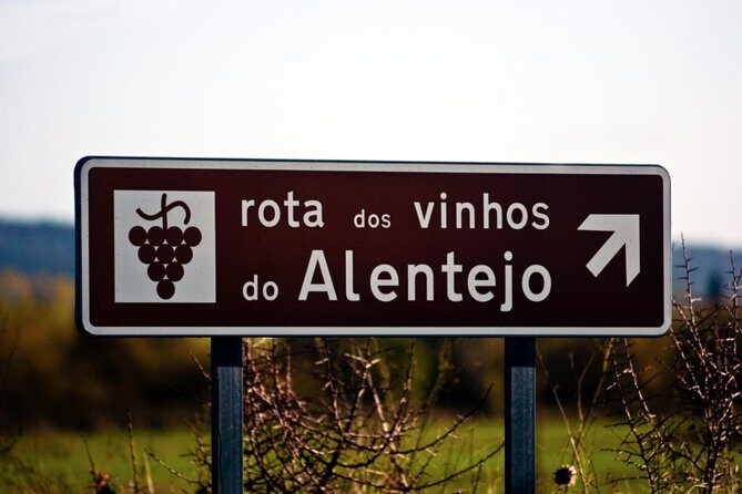South Portugal Wine Route Private Full Day Tour from Lisbon - Authentic Experiences & Notable Details