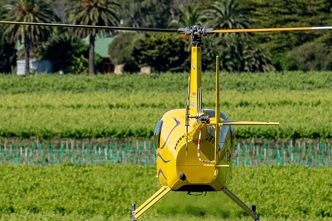 Southern Barossa & Reservoirs: 15 Minute Scenic Flight - What Makes This Tour Special