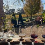 Southern Highlands Full-Day Wine Tour - The Practicalities
