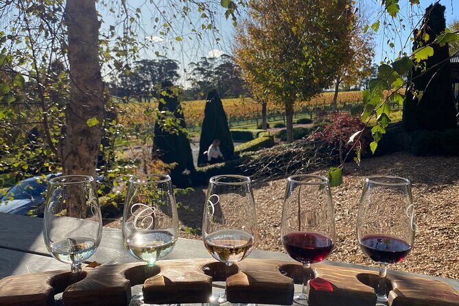 Southern Highlands Full-Day Wine Tour - The Practicalities