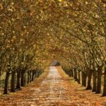 Southern Highlands Private Tour with Wine, Waterfall and Garden - Who Would Enjoy This Tour?