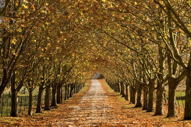 Southern Highlands Private Tour with Wine, Waterfall and Garden - Who Would Enjoy This Tour?