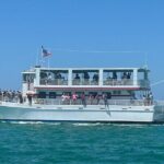 Southern Star Dolphin Cruise in Destin - Final Thoughts: Is This Tour for You?