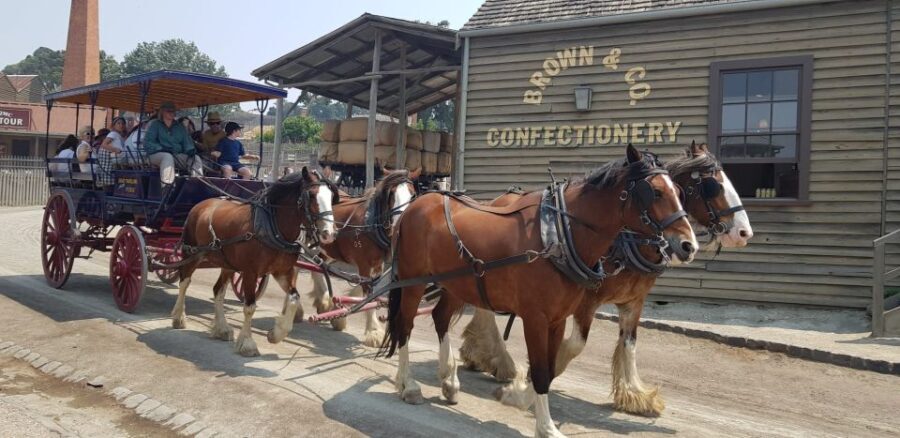 Sovereign Hill & 12 Apostle Private Tour  Up to 14 pax - An In-Depth Look at the Tour Experience