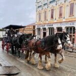 Sovereign Hill the Gold City Private Tours - The Sum Up