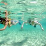 Speed Through Cancun: Explore Mangroves, Reefs & MUSA in One Tour - The Highlights: Why It’s Worth It