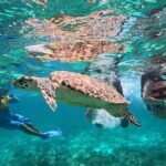 Speedboat and Snorkel Cancun Adventure with Transportation - Authentic Experiences and What Travelers Say