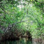 Speedboat and Snorkeling Adventure in Cancun - The Sum Up: Who Will Get the Most from This Tour?