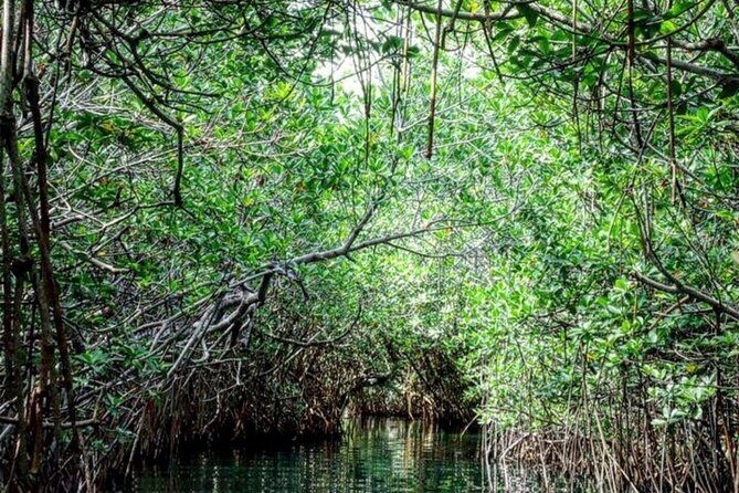 Speedboat and Snorkeling Adventure in Cancun - The Sum Up: Who Will Get the Most from This Tour?