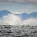 Speedboat Whale Watching Small-Group Tour in Reykjavik - Guides and Personal Attention