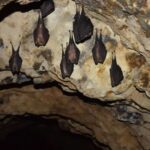 Speleology in the Arouca Geopark´s Tungsten Mines - The Itinerary Breakdown
