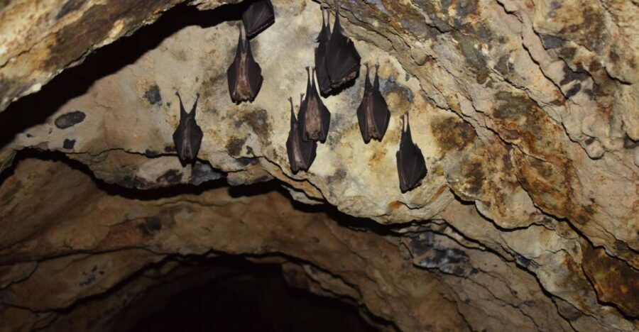 Speleology in the Arouca Geopark´s Tungsten Mines - The Itinerary Breakdown