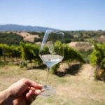 Spello E-Bike Tour with Lunch and Wine Tasting! - Analysis of Value and Practicalities
