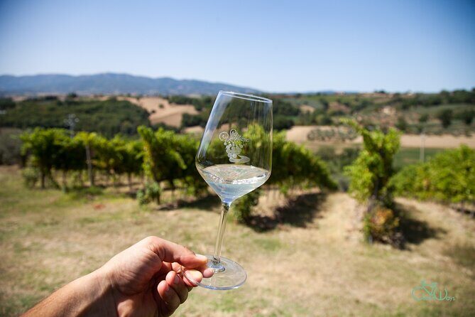 Spello E-Bike Tour with Lunch and Wine Tasting! - Analysis of Value and Practicalities