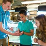 Speyer: SEA LIFE Behind the Scenes Tour - Who Will Benefit Most?