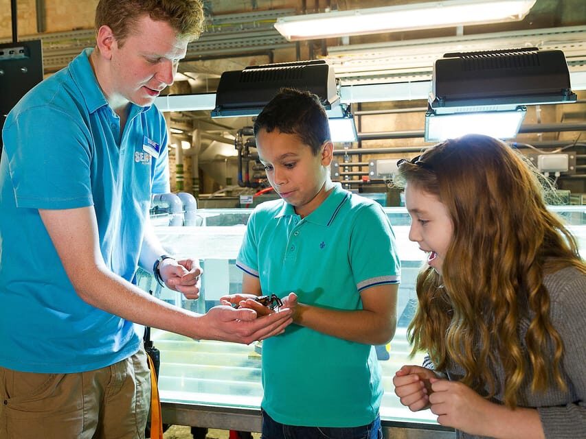 Speyer: SEA LIFE Behind the Scenes Tour - Who Will Benefit Most?