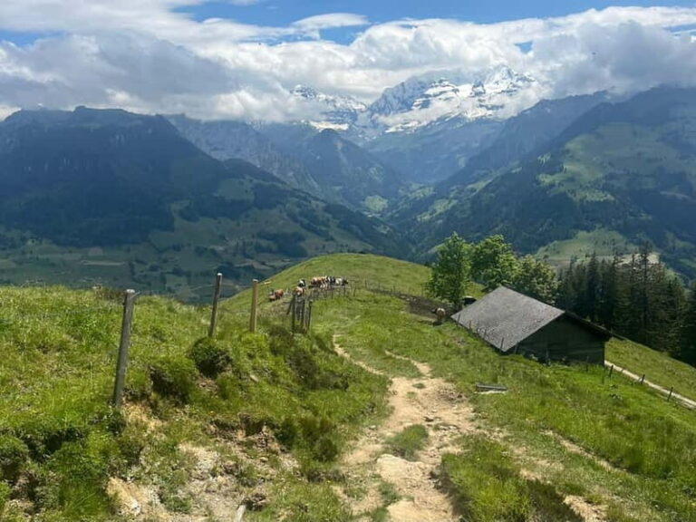 Spiez: Summit Mt. Niesen with a Swiss Triathlete - Practical Details and Tips