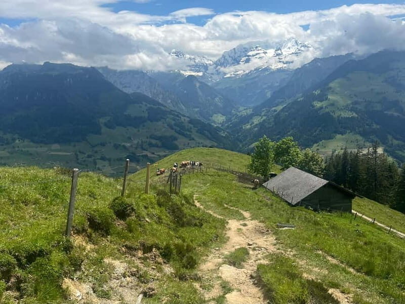 Spiez: Summit Mt. Niesen with a Swiss Triathlete - Practical Details and Tips