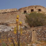 Spinalonga Boat Trip from Elounda Port - Why This Tour Is Worth It