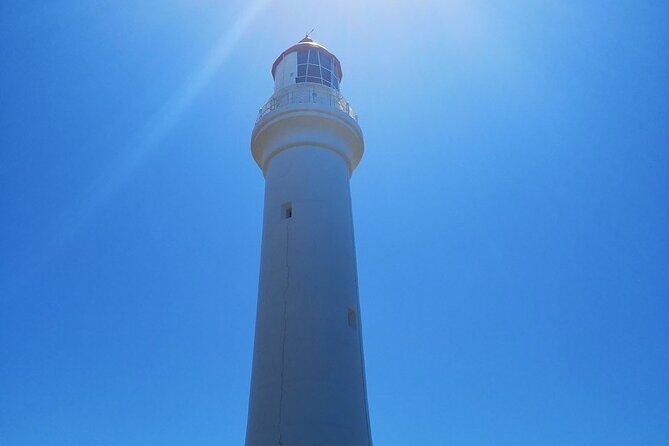 Split Point Lighthouse Tours - An In-Depth Look at the Split Point Lighthouse Tour