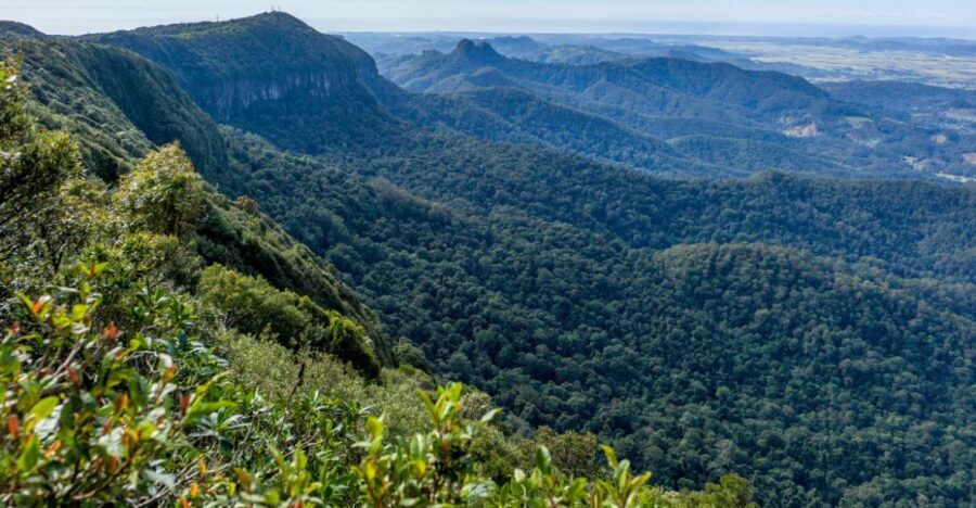 Spring Brook National Park Driving Tour with an APP - Final Thoughts: Is It Worth It?