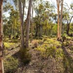 Spring Wildflower Private Day Tours - Analyzing Value and Practicalities