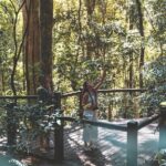 Springbrook andTamborine Rainforest Tour Incl Natural Bridge and Glow Worm Cave - FAQ