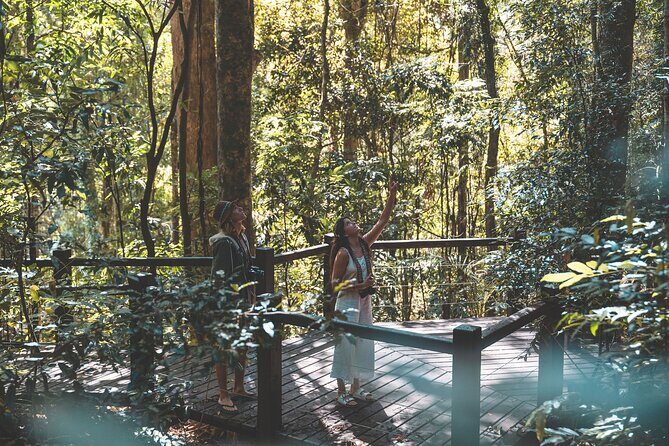 Springbrook andTamborine Rainforest Tour Incl Natural Bridge and Glow Worm Cave - FAQ