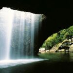 Springbrook Waterfalls & Natural Bridge Tour from Gold Coast - The Sum Up