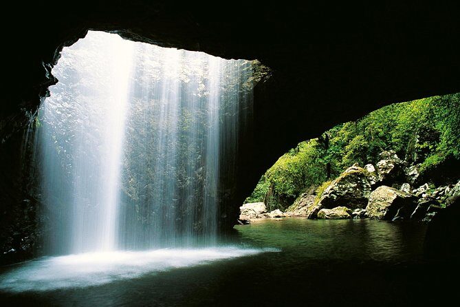 Springbrook Waterfalls & Natural Bridge Tour from Gold Coast - The Sum Up