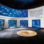 Springfield: Wonders of Wildlife National Museum & Aquarium - Who Will Love This Experience?