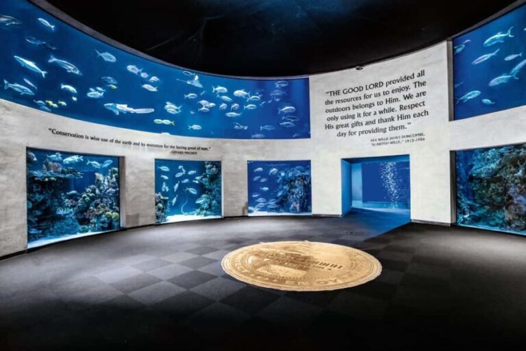Springfield: Wonders of Wildlife National Museum & Aquarium - Who Will Love This Experience?