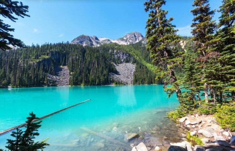 Squamish-Lillooet: Joffre Lakes Guided Hike - What’s Included and What to Consider