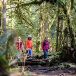 Squamish: Stawamus Chief Guided Hike - Authentic Experiences and Traveler Feedback