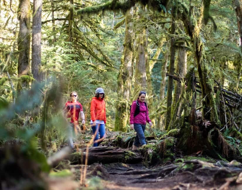 Squamish: Stawamus Chief Guided Hike - Authentic Experiences and Traveler Feedback