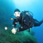 SSI Try Scuba Diving in the sea - The Experience at a Glance