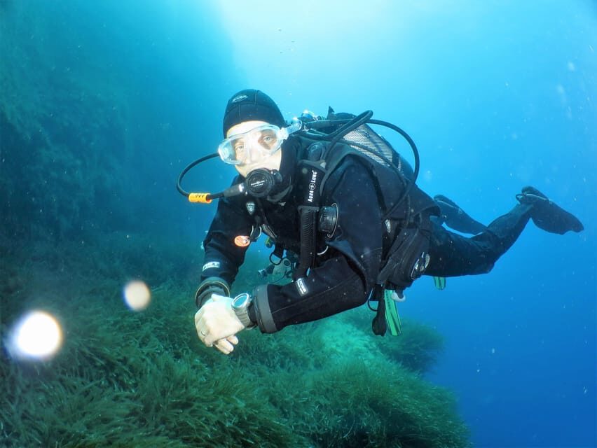 SSI Try Scuba Diving in the sea - The Experience at a Glance