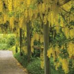 St. Andrews New Brunswick: Kingsbrae Garden Admission Ticket - FAQ