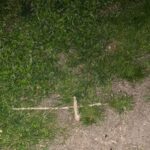 St. Augustine: Devil's Hour Paranormal Investigation Tour - Who Should Consider This Tour?