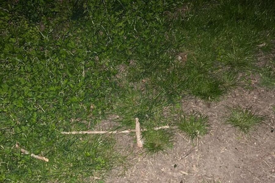 St. Augustine: Devil's Hour Paranormal Investigation Tour - Who Should Consider This Tour?