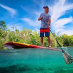 St. Augustine: Dolphin and Manatee Paddle or Kayak Tour - Who Will Love This Tour?
