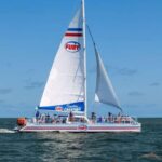 St. Augustine: Dolphin Watching Harbor Tour with Drinks - Who Is This Tour Best For?